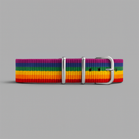 Rainbow Strap Bracelet