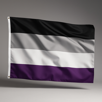 LGBTQIA+ Flags