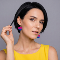 Bi Flag Earrings