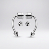 Magnetic Septum NoseRing