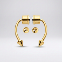 Magnetic Septum NoseRing